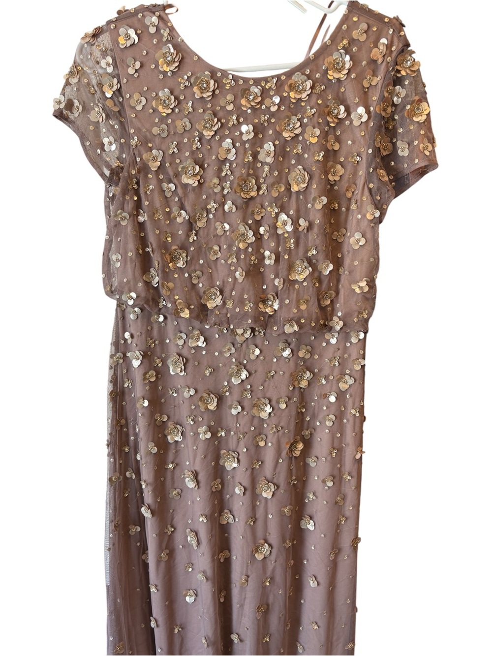 Adrianna Papell Taupe Maxi Dress with Gold & Ivory Floral Appliqué